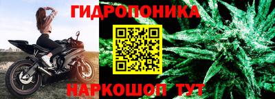 прущие крисы Бийск