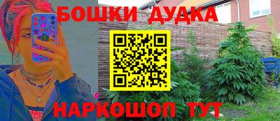 прущие крисы Бийск