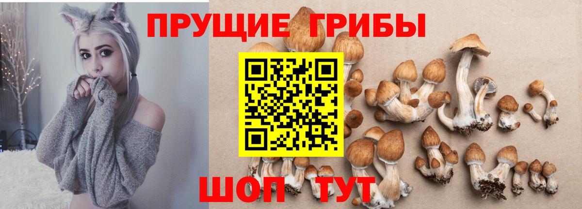 Псилоцибиновые грибы Psilocybe  Псилоцибиновые грибы Psilocybine cubensis  закладка  Вход с VPN  Изобильный 